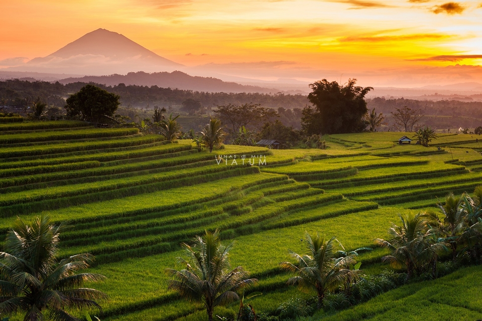 Luna de Miel en Indonesia: Java, Bali y Lombok - VIATUM